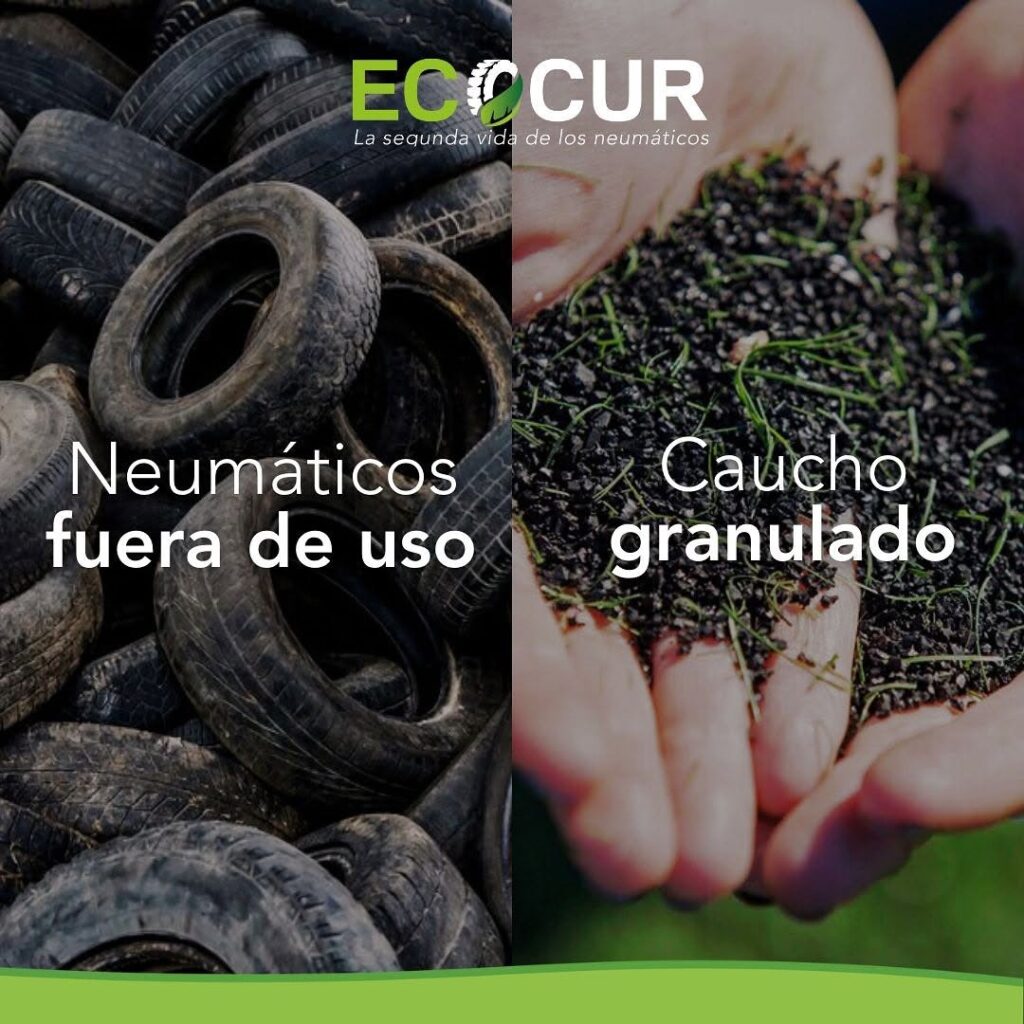 Innovations in Recycling: New Technologies Revolutionizing the Industry