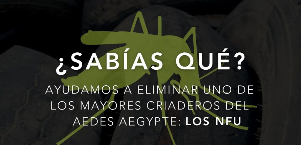 Menos neumáticos, menos mosquitos: una solución con impacto real