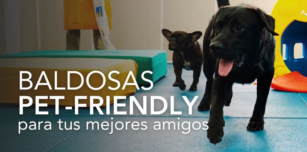 Pisos amigables con las mascotas: confort, seguridad y sustentabilidad