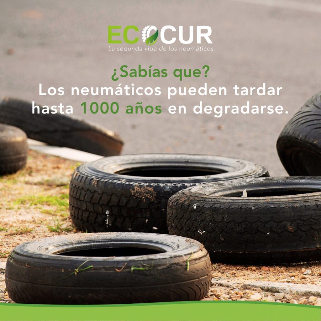 ¿Sabías que un neumático puede tardar hasta mil años en degradarse?