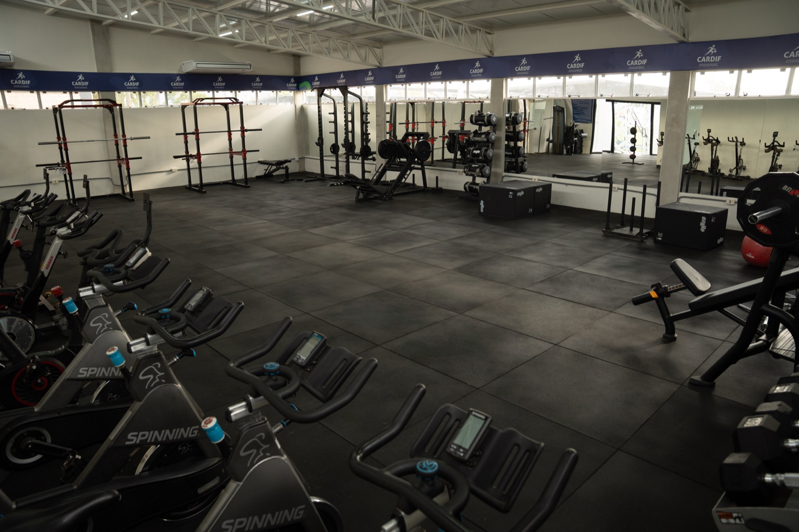 Gimnasio APF